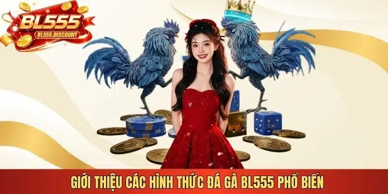 Giới thiệu các hình thức đá gà BL555 phổ biến 