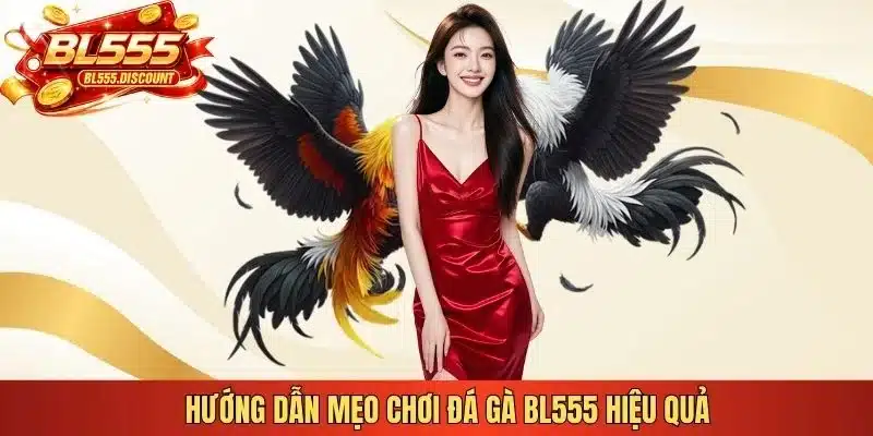 Hướng dẫn mẹo chơi đá gà BL555 hiệu quả 